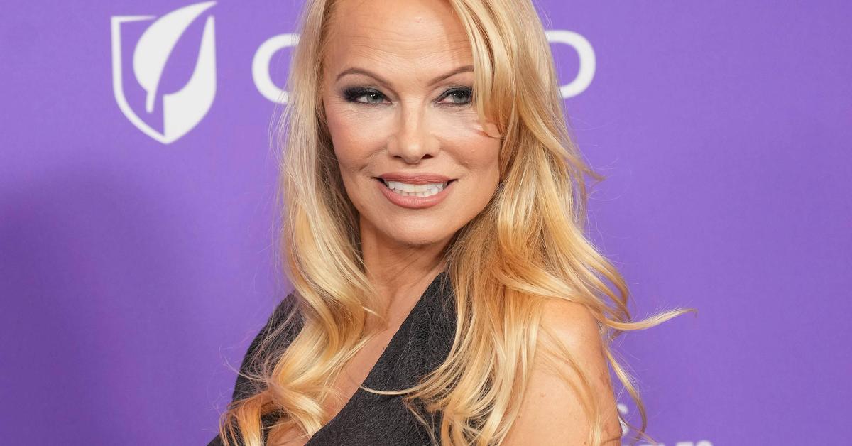 Pamela Anderson Dans Le Reboot De The Naked Gun Avec Liam Neeson Le